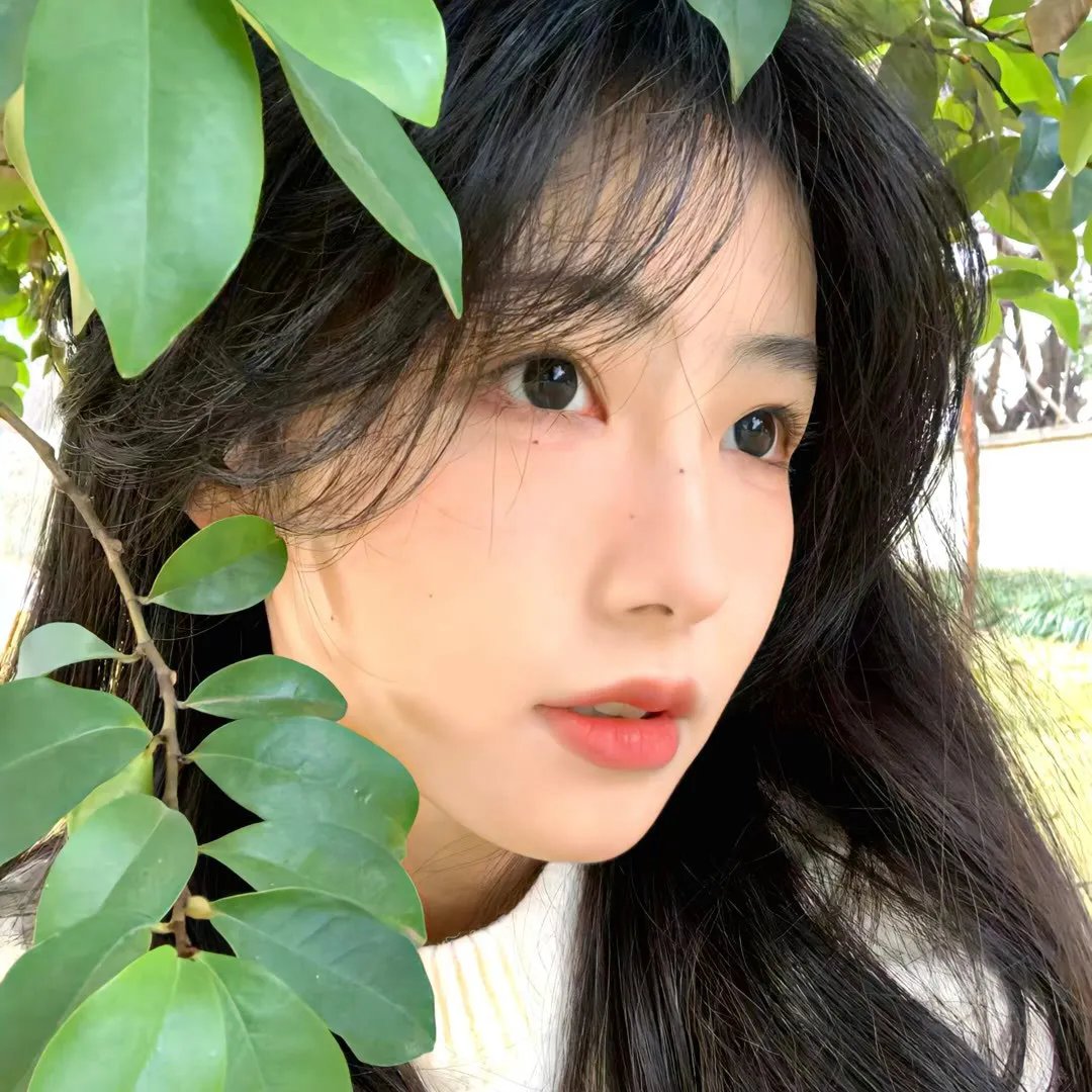 铜雀春深美人谋